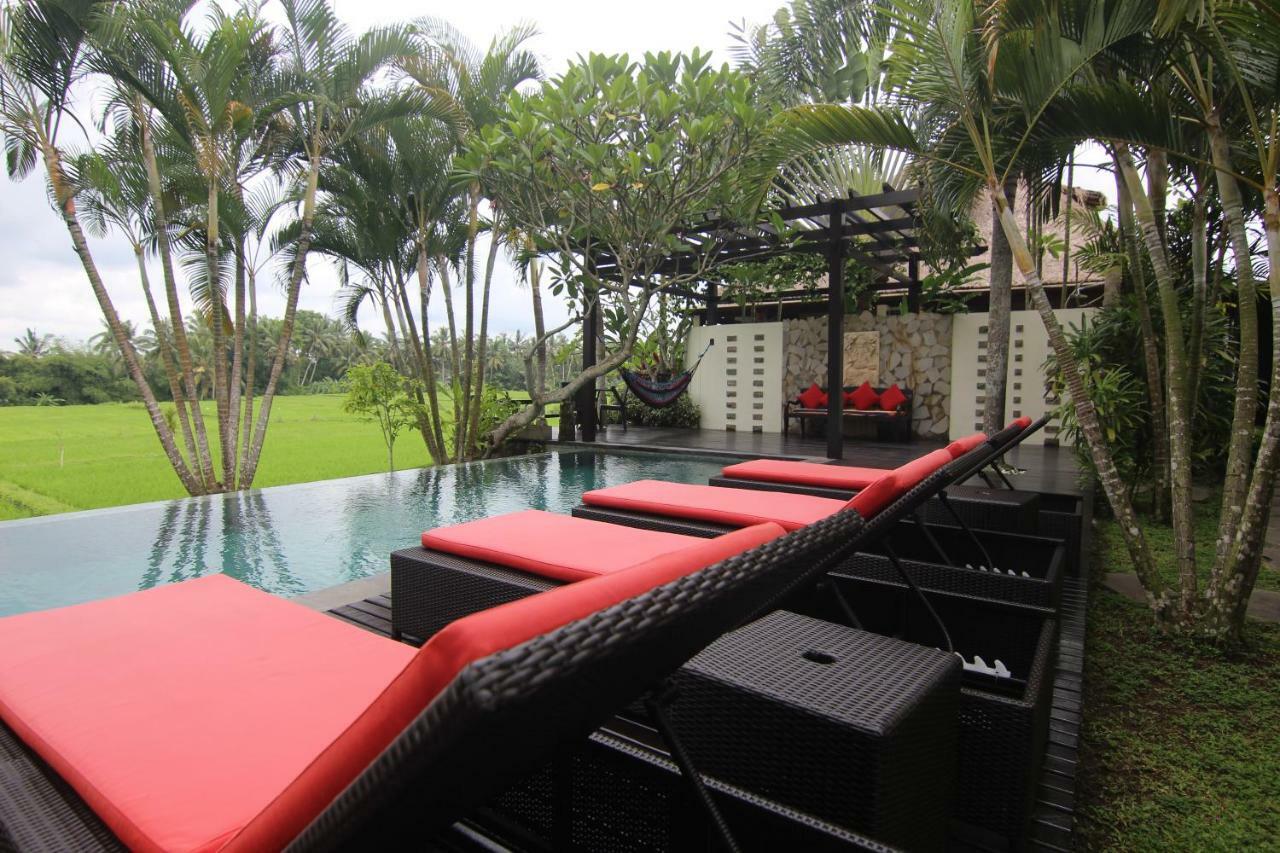 巴厘岛和谐别墅酒店 乌布 外观 照片